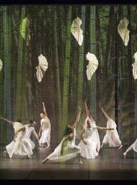 Morellet Textile - Image 7